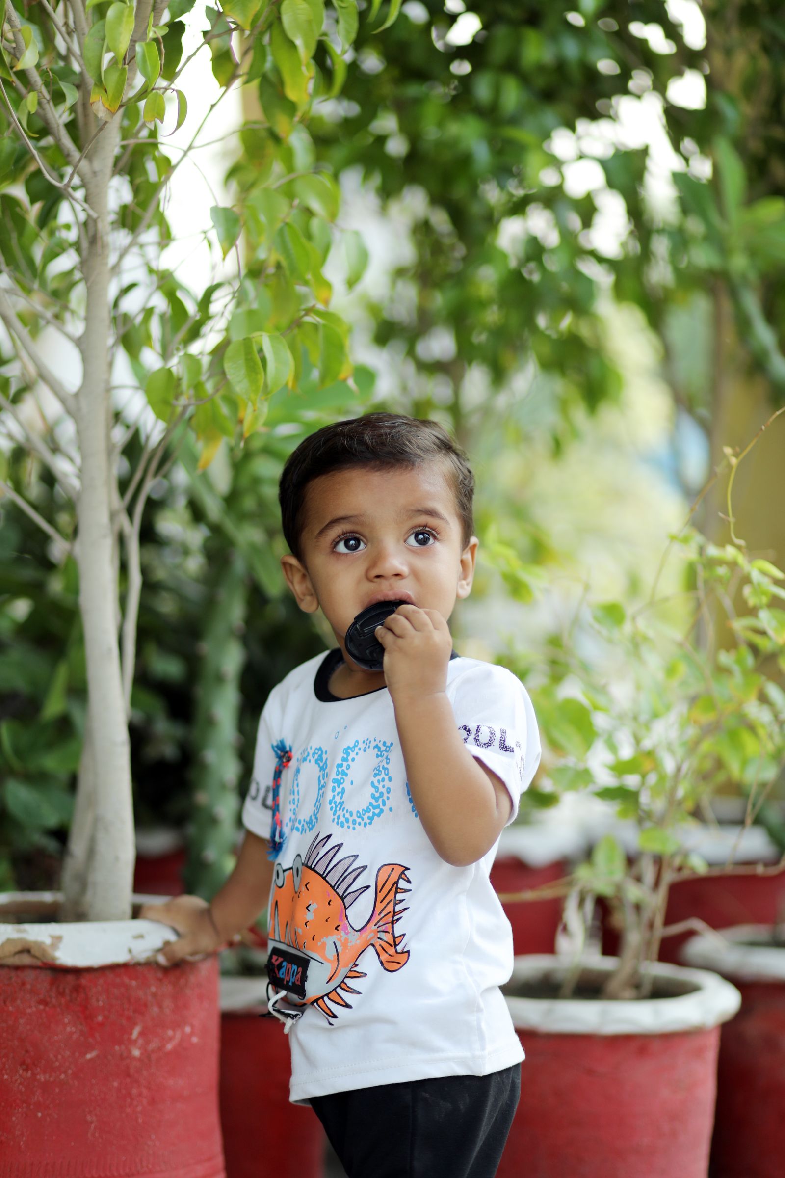 Toddler standing near plants outdoors — early childhood development context